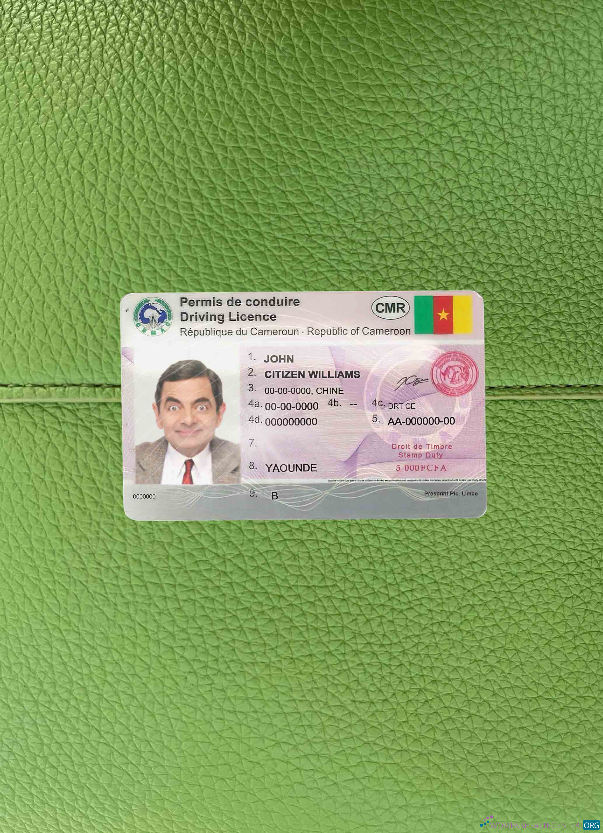 Download Cameroon DL photolook FRONT Photoshop template